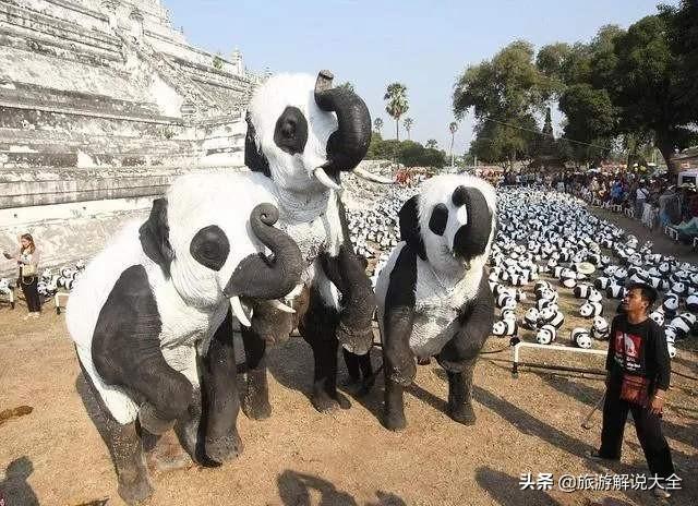 印度租大熊猫失败之后，竟然自己“制造”，网友看完捧腹大笑