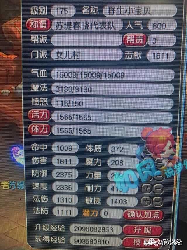 梦幻西游：3000万战神苏堤6大服战号属性图曝光，爆总法伤3002