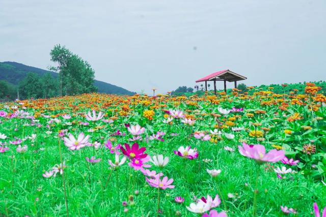 澧县暴雨橙色预警，彭山景区越挫越勇，风雨过后等您见彩虹