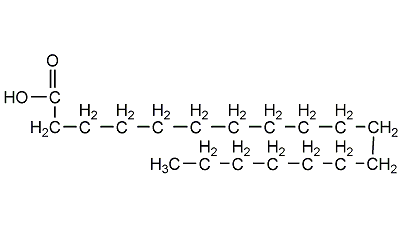 硬脂酸（stearic acid）简介