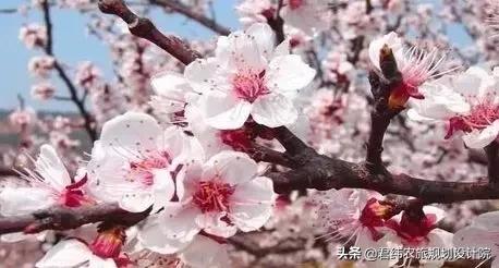 “三个模式”叫响全国，山东这些经验是如何成功的？