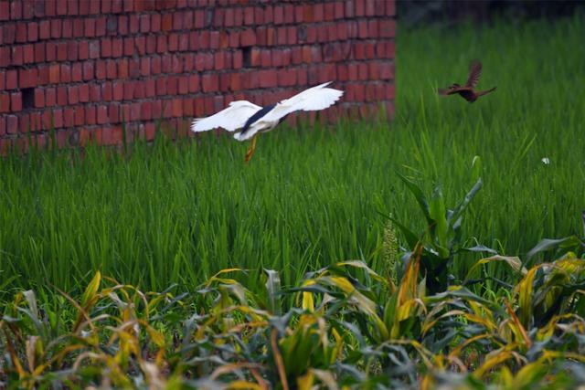 青城山尊酒店科学自然营正式开营！行走在大山深处的别样青春