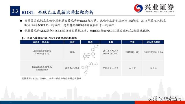 肺癌专题报告：序贯靶向治疗是核心，免疫联合治疗是新常态