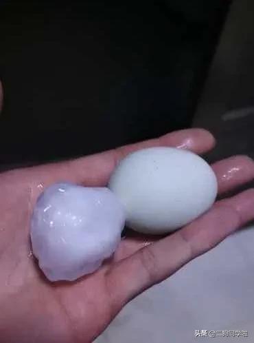 昨晚，山东14市遭遇冰雹天气！最大鸡蛋个头等于