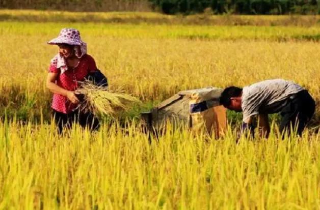 “十个瘦子九个贫”，原来并不是迷信，古人经