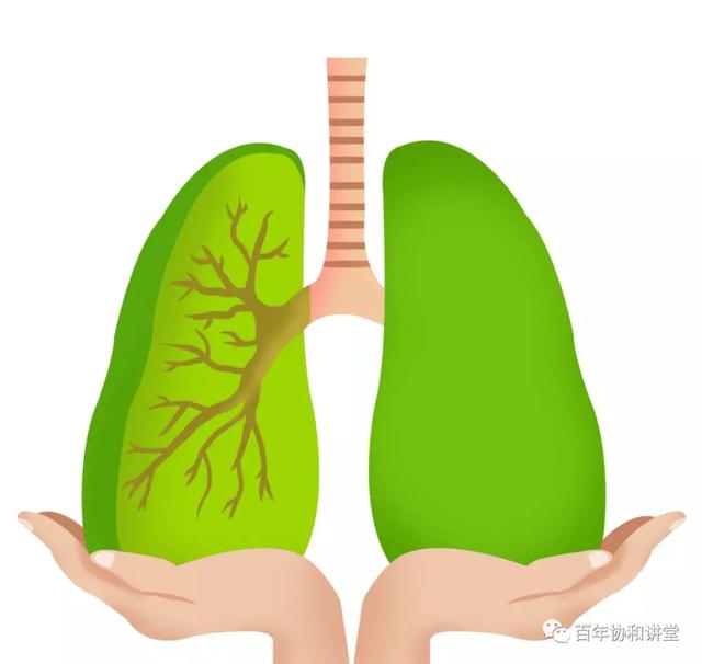 为什么受伤的总是肺？除了新冠病毒，结核杆菌也最爱伤肺！