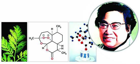 ����з��������޺���ʲô����