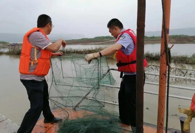 强烈警示！泸州又有10多人涉嫌犯罪……警方已放生上千尾河鱼