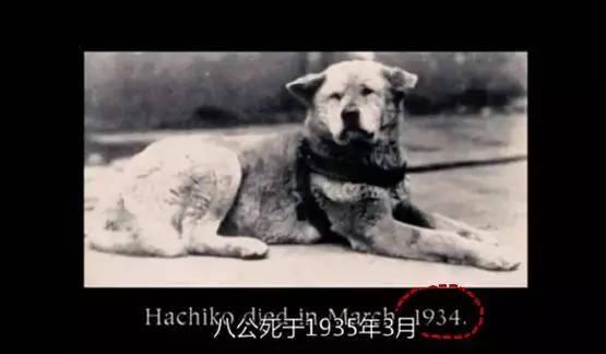 ��Ļ���ѳ����̵����Ӱ�Ӿ��е�������Ļ����