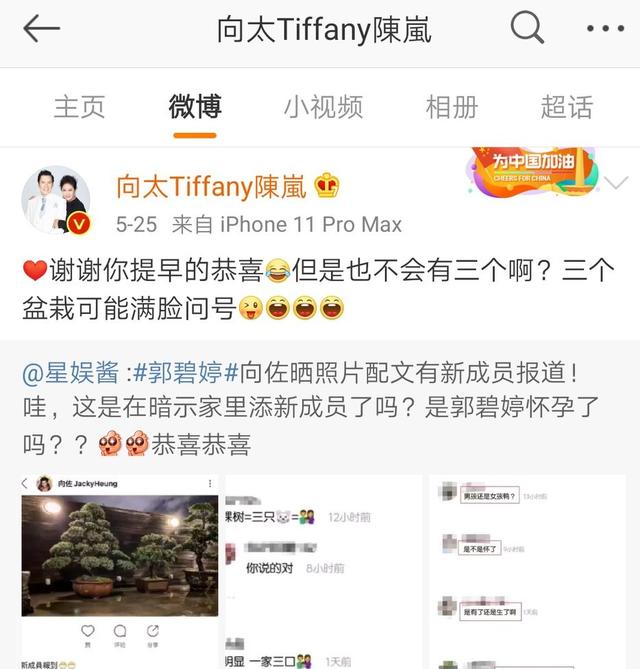 「发文」郭碧婷深夜发文后关闭评论 孕期情绪多多还是后悔与向佐恋情？