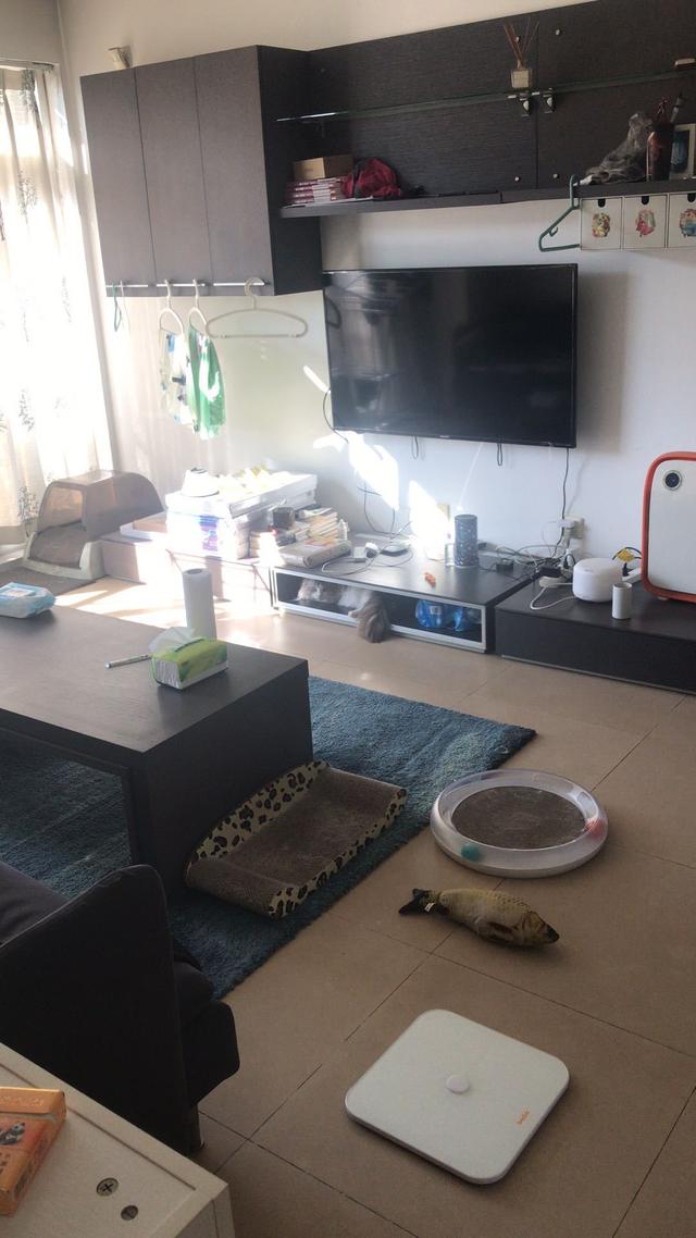 民宿主夫妇爆改96m²两室，两人一猫的神仙生活太治愈了吧