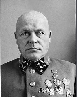 巴甫洛夫为何被处死