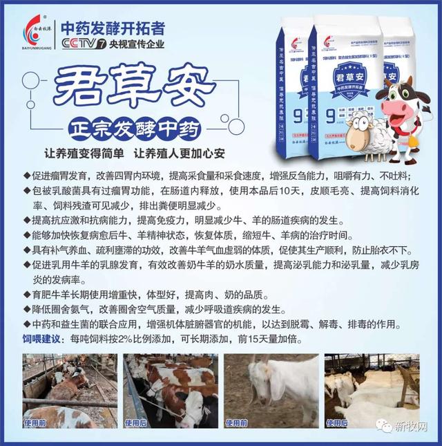 牛热应激问题，应该如何解决？