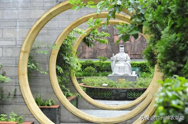 园子里的中医药︱三重门