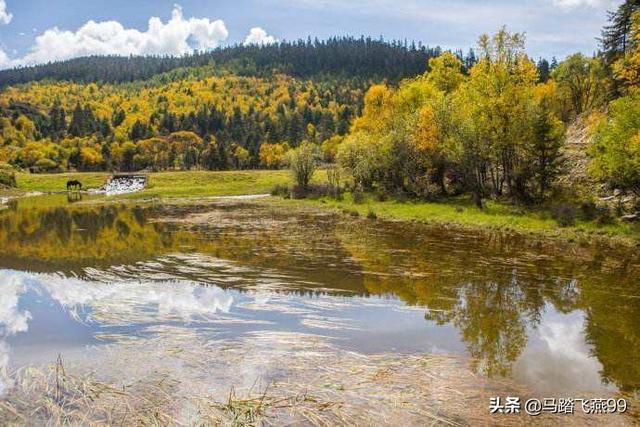 五月份最值得出游的景点，没有之一，快来看看