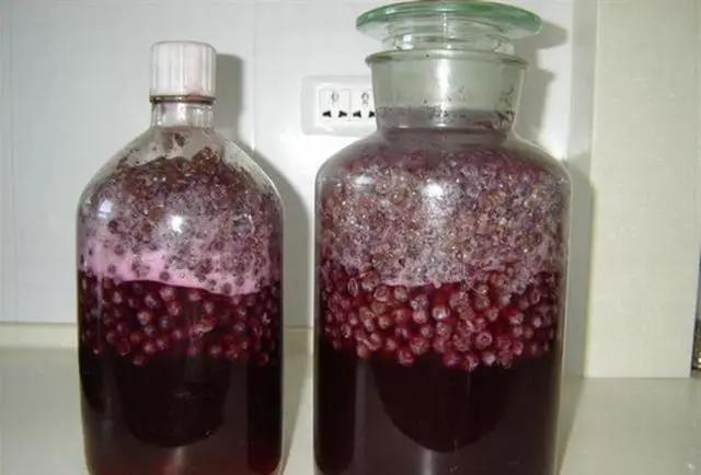 26種精致水果酒，泡制方法簡單，先收藏起來，夠你學一陣子了