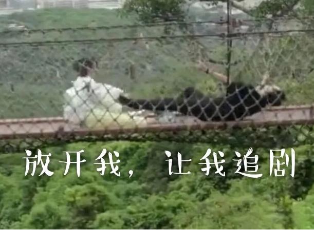 新上的甜宠网剧哪部最让你上头？