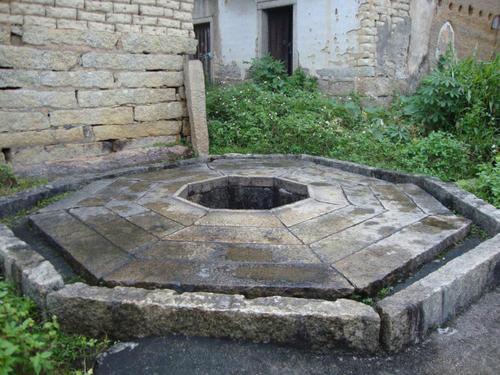 为什么在古井中会发现巨龟?