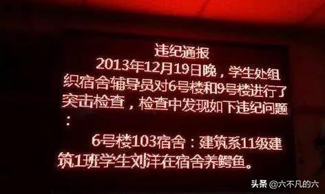 这样人的女朋友就应该上交国家