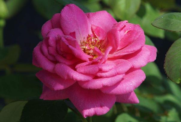 3个习惯养成了，领导喜欢你，迟早有大出息