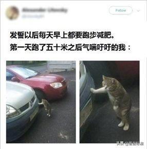 金融圈为什么会有这么多胖子？