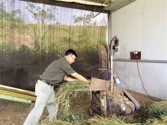 生态循环农业产业化样板：生态循环+休闲农业（附案例）