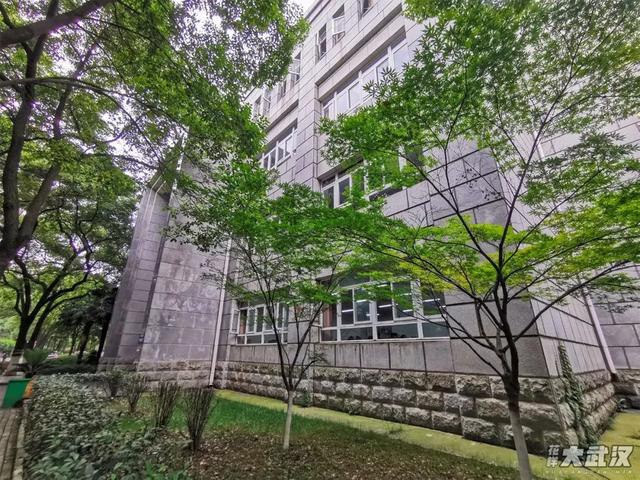 武汉科技大学，神一样的大学