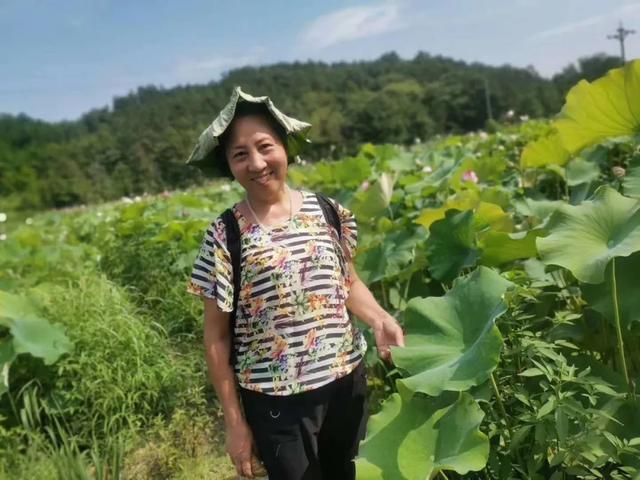 天池雅园夏日赏荷花 采莲蓬之旅