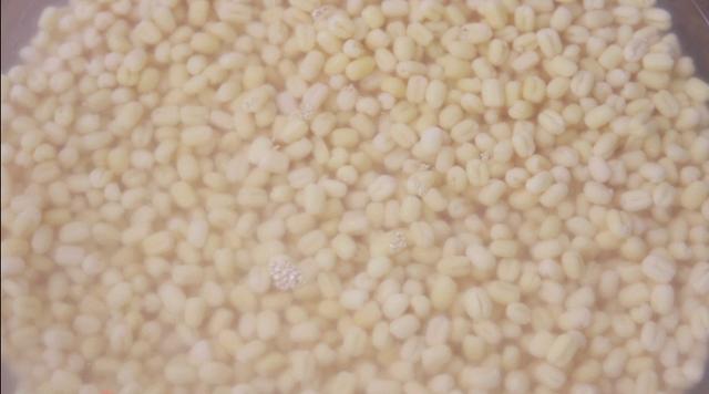 超好吃的绿豆糕，只要3种简单食材，香甜细腻入口即化，夏日必备