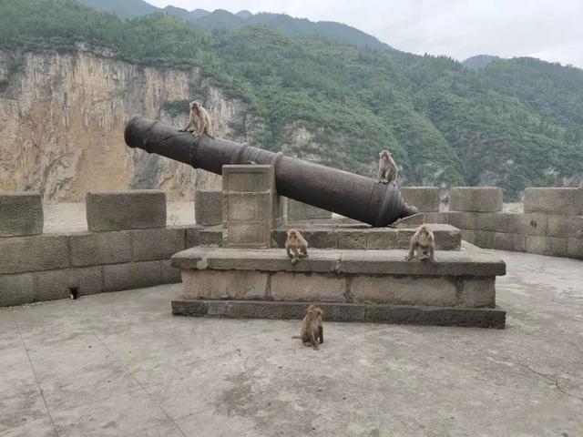 《中餐厅4》开播在即，这条宝藏路线比赵丽颖还有诱惑力