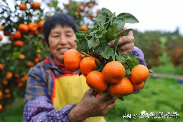 三峡橘乡田园综合体如何成为国家级田园综合体？