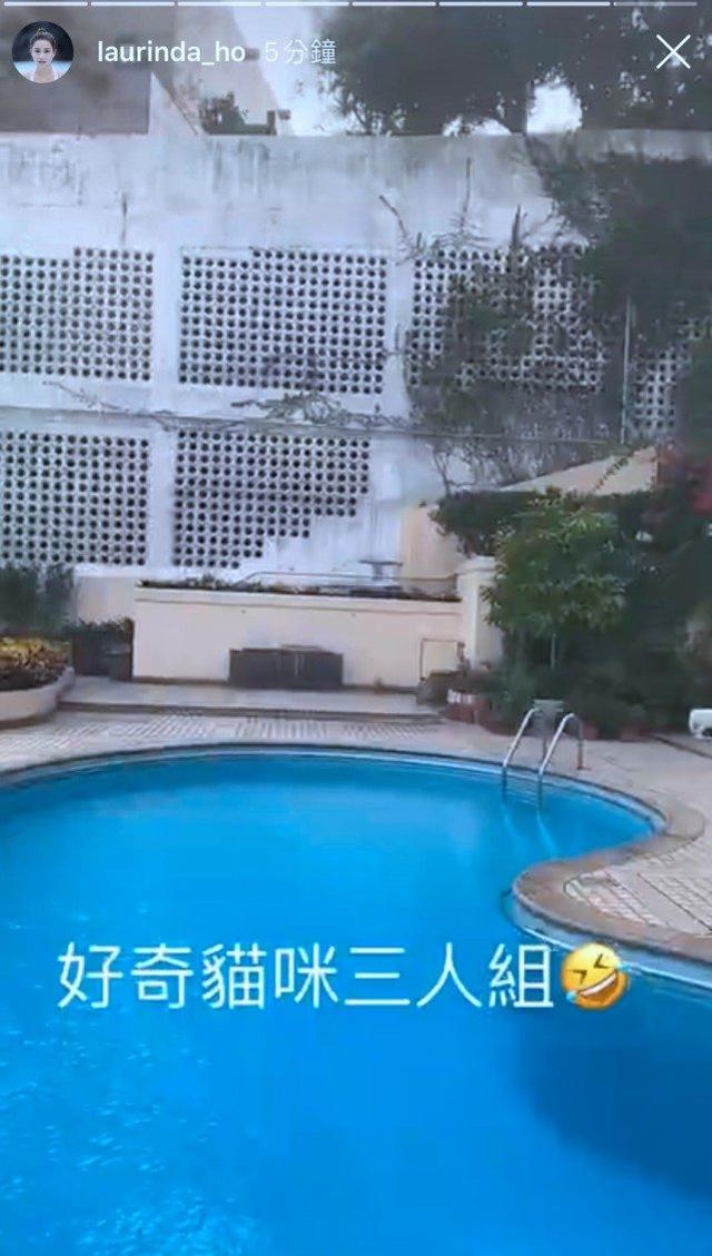 何超莲送别赌王后首更新动态，曝光窦骁入住三太豪宅同居“试婚”