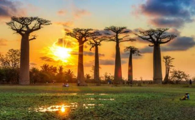 非洲黑人组团来中国，只为了寻找自己的祖先，他们的的祖先是谁？