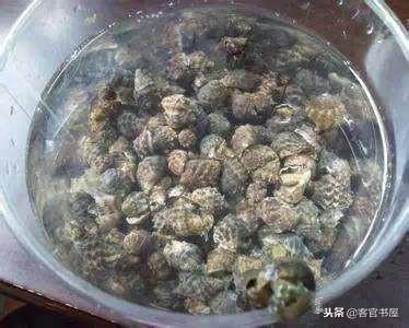 长知识了，这些海鲜你都认识吗？