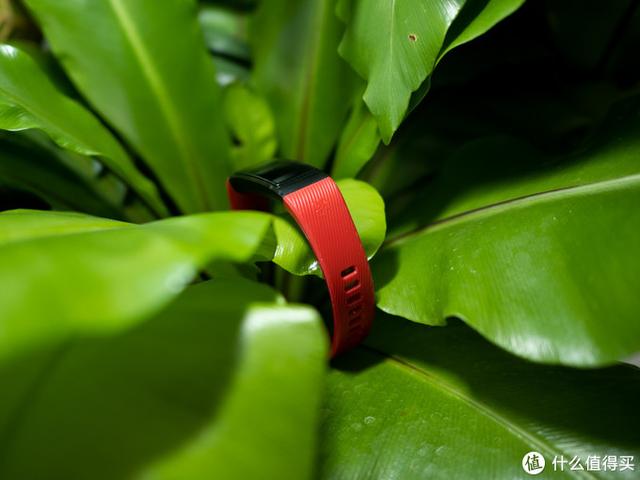 独立GPS + 血氧检测功能：HUAWEI 华为手环4 Pro上手体验