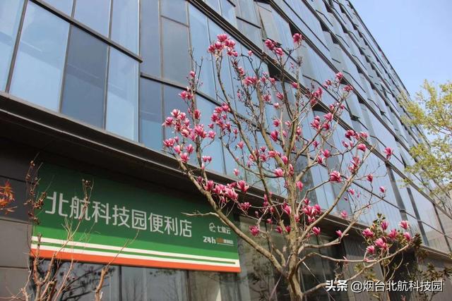 煙臺(tái)唯一現(xiàn)房現(xiàn)證花園獨(dú)棟獨(dú)“墅”一“幟”