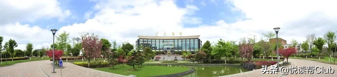 厉害了！贵州百灵跻身中国医药工业百强榜中药企业30强
