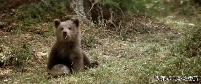 ����9.1�֣���ʵ�¼��ı࣬�ⲿ���ص�Ӱ���ҿ�һ�ο�һ��