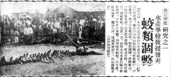 【山里】贵州回应山里有龙吟 贵州威宁野外出现不明声响