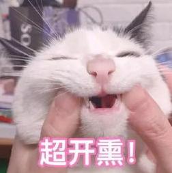 武汉的交通开挂了！将新增2种交通方式、2大新火