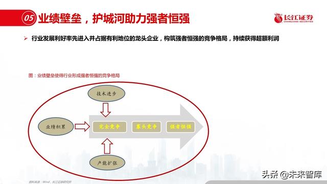新材料行业深度报告：优选细分景气，重择龙头强者