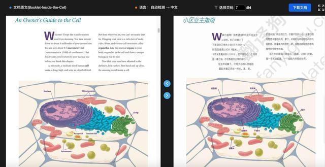 新手如何写论文？千锤百炼的论文写作方法推荐