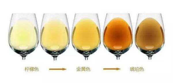 葡萄酒知识入门：葡萄酒的颜色细分！