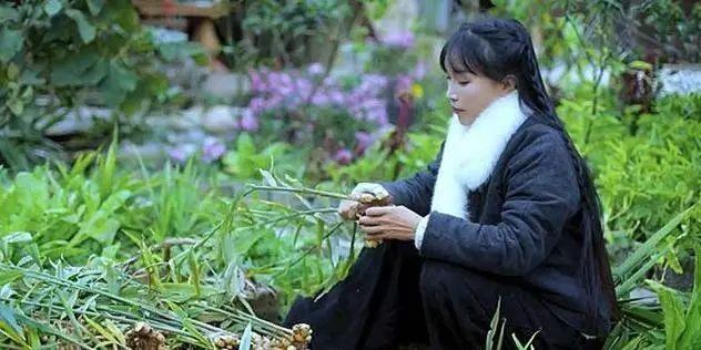 「李子」出题人回应李子柒写入考卷是正能量的鼓励