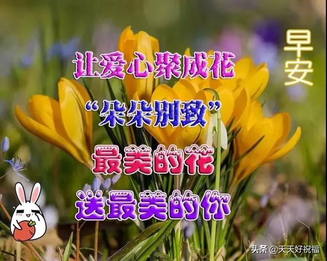 问候|早上好的问候短信 夏天暖心的早安祝福问候语