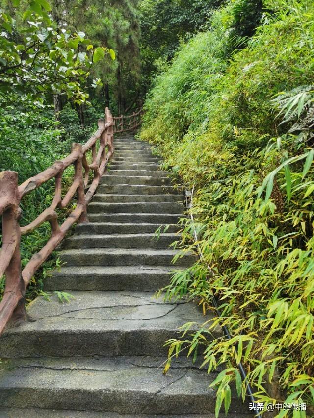 雨后登荣昌古佛山，家乡好风光使人陶醉