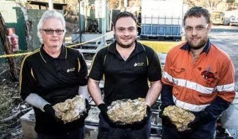 惊呆了！世界级大金矿被发现 到处都是金子，澳