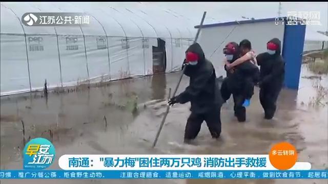 &ldquo;暴力梅&rdquo;导致积水困住鸡舍 南通消防救出两万只鸡