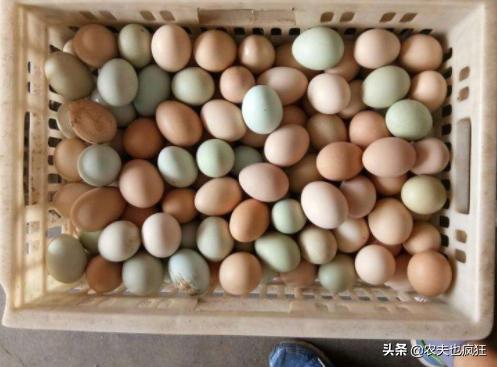 鸡蛋卖出“白菜价”，为何近期蛋价会持续下跌，后期走势如何？