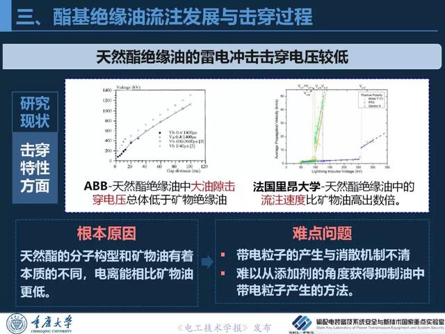 重慶大學(xué)王飛鵬研究員：高性能酯基絕緣油與變壓器應(yīng)用